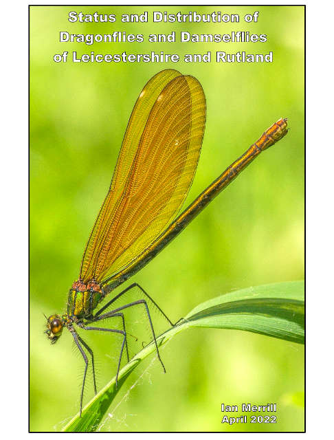 Dragonflies and Damselflies of Leicestershire and Rutland