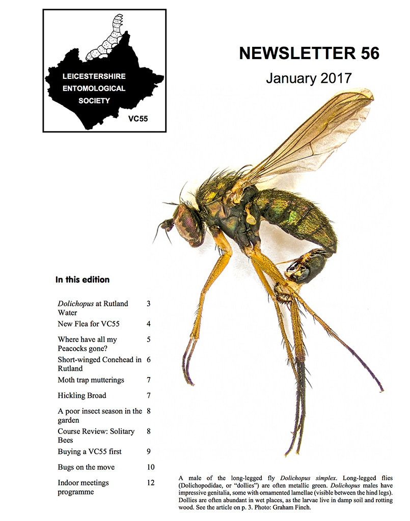 LES Newsletter